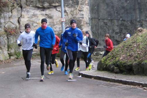 Beim Team Lauf geht es Bergauf (Foto: privat).